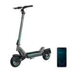 Bongo Y45 - rango de 65 km, ruedas de 10 pulgadas, batería de 12.500 mAh - Imagen 2